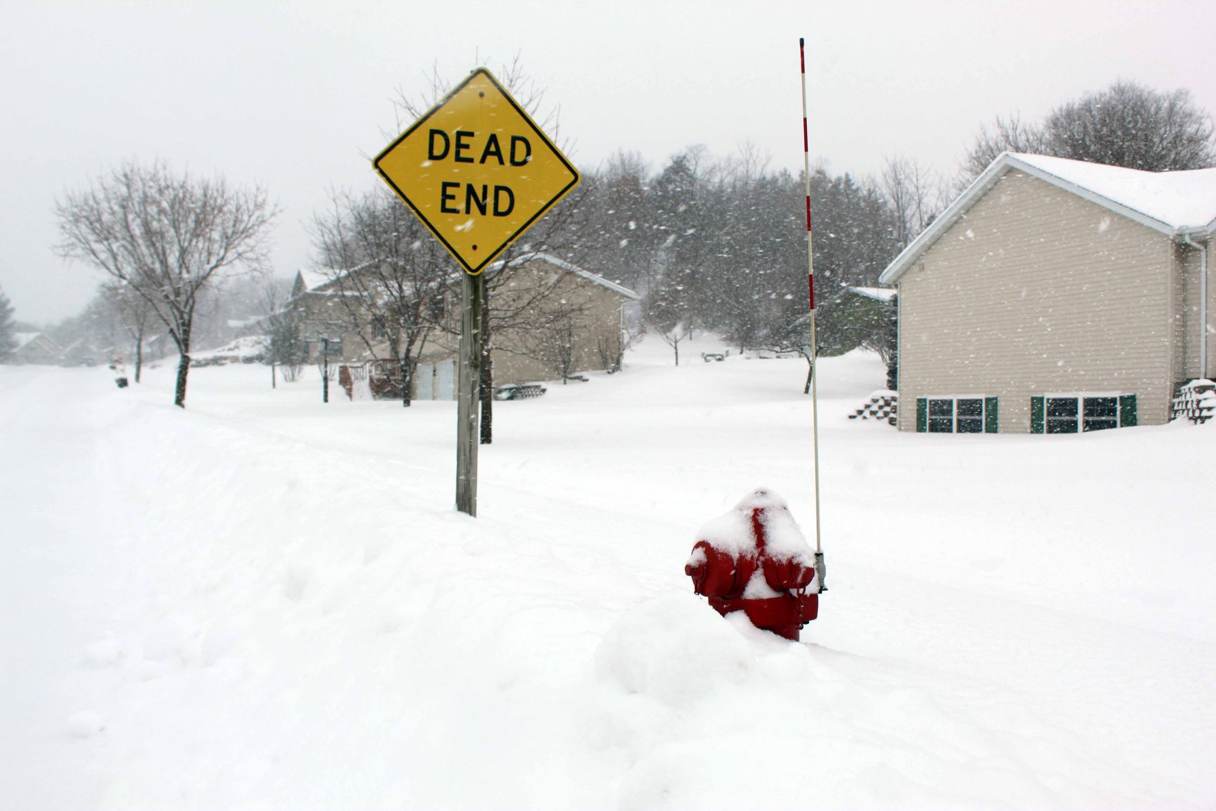 013119-reed-gallery-cold014